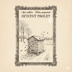 Očistn&yacute; prolet